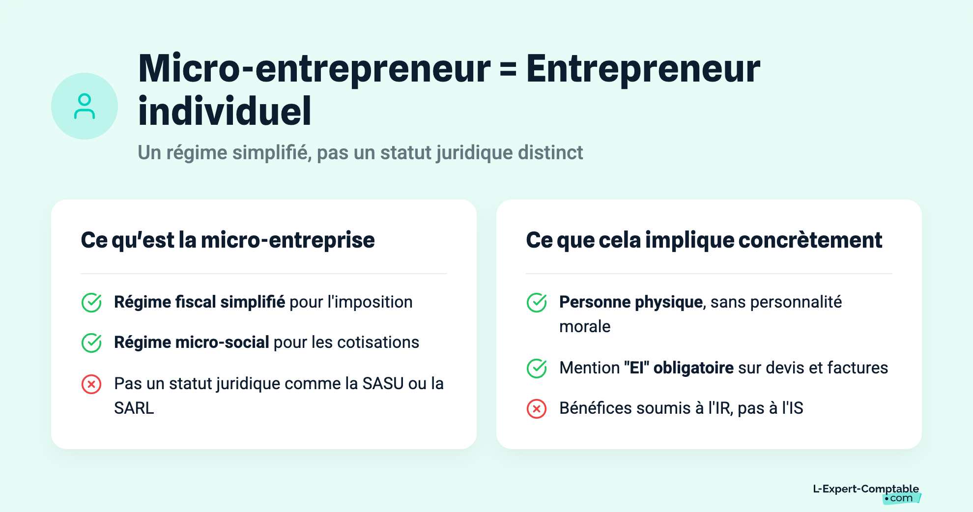 Micro-entrepreneur = Entrepreneur individuel